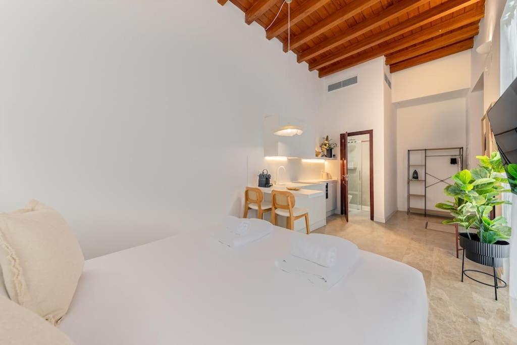 Appartamento Isg Puerta Jerez 02